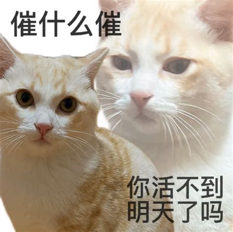 催 造詞|催的意思/解釋